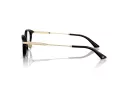 Jimmy Choo JC 3029D 5000 52 Women glasses