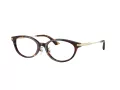Jimmy Choo JC 3029D 5002 52 Women glasses