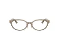 Jimmy Choo JC 3029D 5051 52 Women glasses