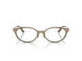 Jimmy Choo JC 3029D 5051 52 Women glasses