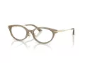 Jimmy Choo JC 3029D 5051 52 Women glasses