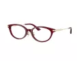 Jimmy Choo JC 3029D 5062 52 Women glasses