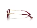 Jimmy Choo JC 3029D 5062 52 Women glasses