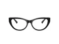 Jimmy Choo JC 3030B 5000 53 Women glasses