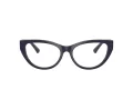 Jimmy Choo JC 3030B 5016 55 Women glasses