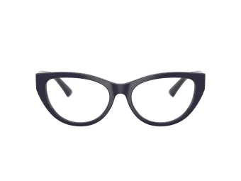 Jimmy Choo JC 3030B 5016 55 Women glasses