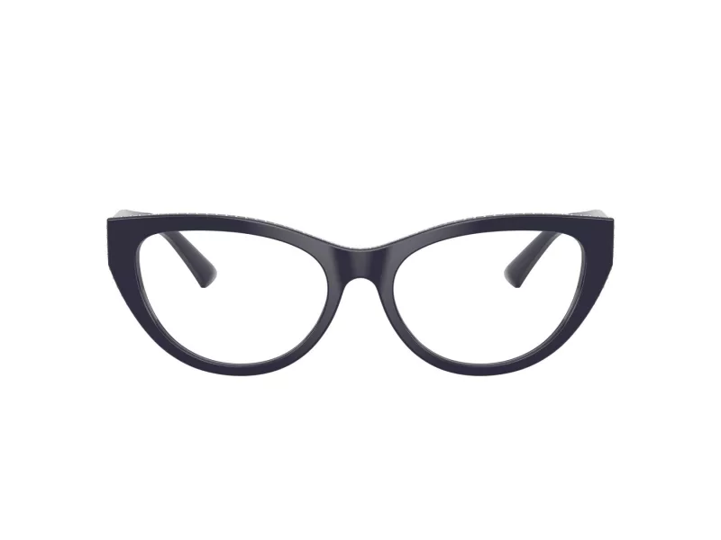 Jimmy Choo JC 3030B 5016 55 Women glasses