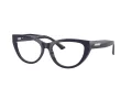 Jimmy Choo JC 3030B 5016 55 Women glasses