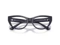 Jimmy Choo JC 3030B 5016 55 Women glasses