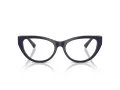 Jimmy Choo JC 3030B 5016 55 Women glasses