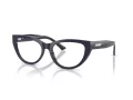 Jimmy Choo JC 3030B 5016 55 Women glasses