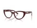 Jimmy Choo JC 3030B 5057 53 Women glasses
