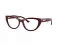Jimmy Choo JC 3030B 5057 55 Women glasses