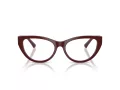 Jimmy Choo JC 3030B 5057 55 Women glasses