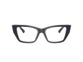 Jimmy Choo JC 3031BU 5016 53 Women glasses
