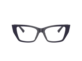 Jimmy Choo JC 3031BU 5016 53 Women glasses