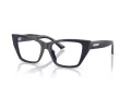 Jimmy Choo JC 3031BU 5016 53 Women glasses