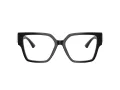 Jimmy Choo JC 3032B 5000 53 Women glasses