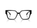Jimmy Choo JC 3032B 5000 55 Women glasses