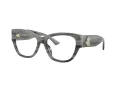 Jimmy Choo JC 3033BU 5063 54 Women glasses