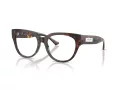 Jimmy Choo JC 3035 5002 51 Women glasses