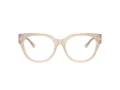 Jimmy Choo JC 3035 5025 51 Women glasses