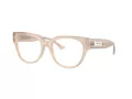Jimmy Choo JC 3035 5025 53 Women glasses