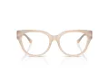 Jimmy Choo JC 3035 5025 53 Women glasses