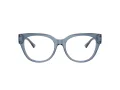 Jimmy Choo JC 3035 5067 51 Women glasses