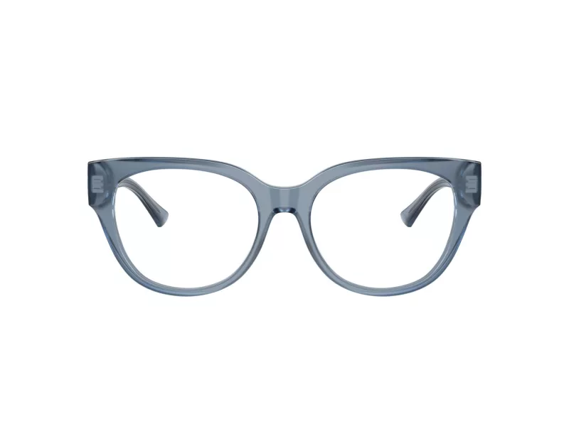 Jimmy Choo JC 3035 5067 51 Women glasses