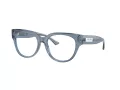 Jimmy Choo JC 3035 5067 51 Women glasses