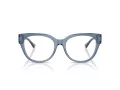 Jimmy Choo JC 3035 5067 51 Women glasses