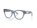 Jimmy Choo JC 3035 5067 51 Women glasses