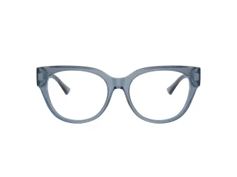 Jimmy Choo JC 3035 5067 53 Women glasses