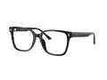 Jimmy Choo JC 3038D 5000 54 Women glasses