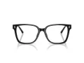 Jimmy Choo JC 3038D 5000 54 Women glasses