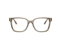 Jimmy Choo JC 3038D 5051 54 Women glasses