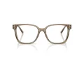 Jimmy Choo JC 3038D 5051 54 Women glasses