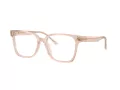 Jimmy Choo JC 3038D 5052 54 Women glasses