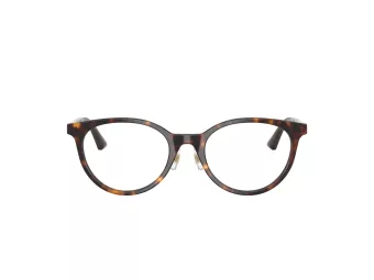 Jimmy Choo JC 3039D 5002 48 Women glasses