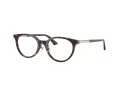 Jimmy Choo JC 3039D 5002 48 Women glasses