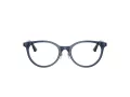 Jimmy Choo JC 3039D 5035 48 Women glasses