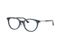 Jimmy Choo JC 3039D 5035 48 Women glasses