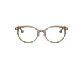 Jimmy Choo JC 3039D 5051 48 Women glasses
