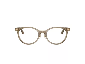Jimmy Choo JC 3039D 5051 48 Women glasses