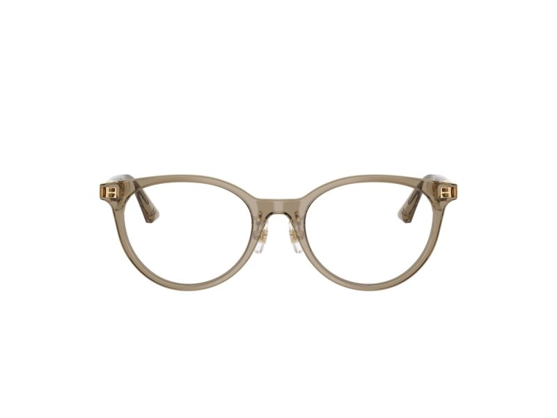 Jimmy Choo JC 3039D 5051 48 Women glasses