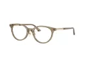 Jimmy Choo JC 3039D 5051 48 Women glasses