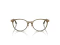 Jimmy Choo JC 3039D 5051 48 Women glasses