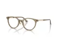 Jimmy Choo JC 3039D 5051 48 Women glasses