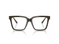 Jimmy Choo 3040U 5060 52 Women glasses